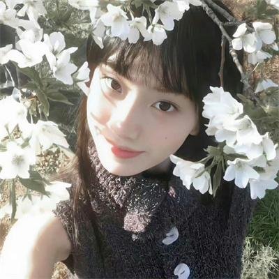 狂花梦路